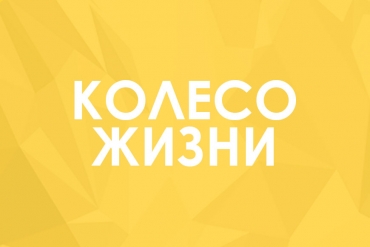 Что такое «Колесо жизни и почему над ним стоит поработать?