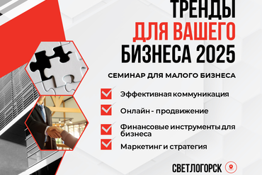 СВЕТЛОГОРСК | ТРЕНДЫ ДЛЯ ВАШЕГО БИЗНЕСА 2025